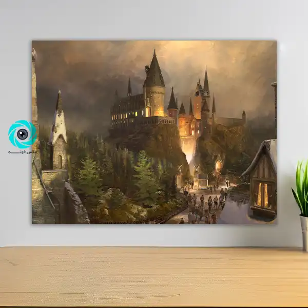 شاسی هری پاتر طرح سیزده