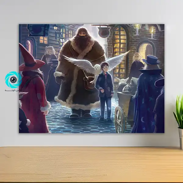 شاسی هری پاتر طرح نه